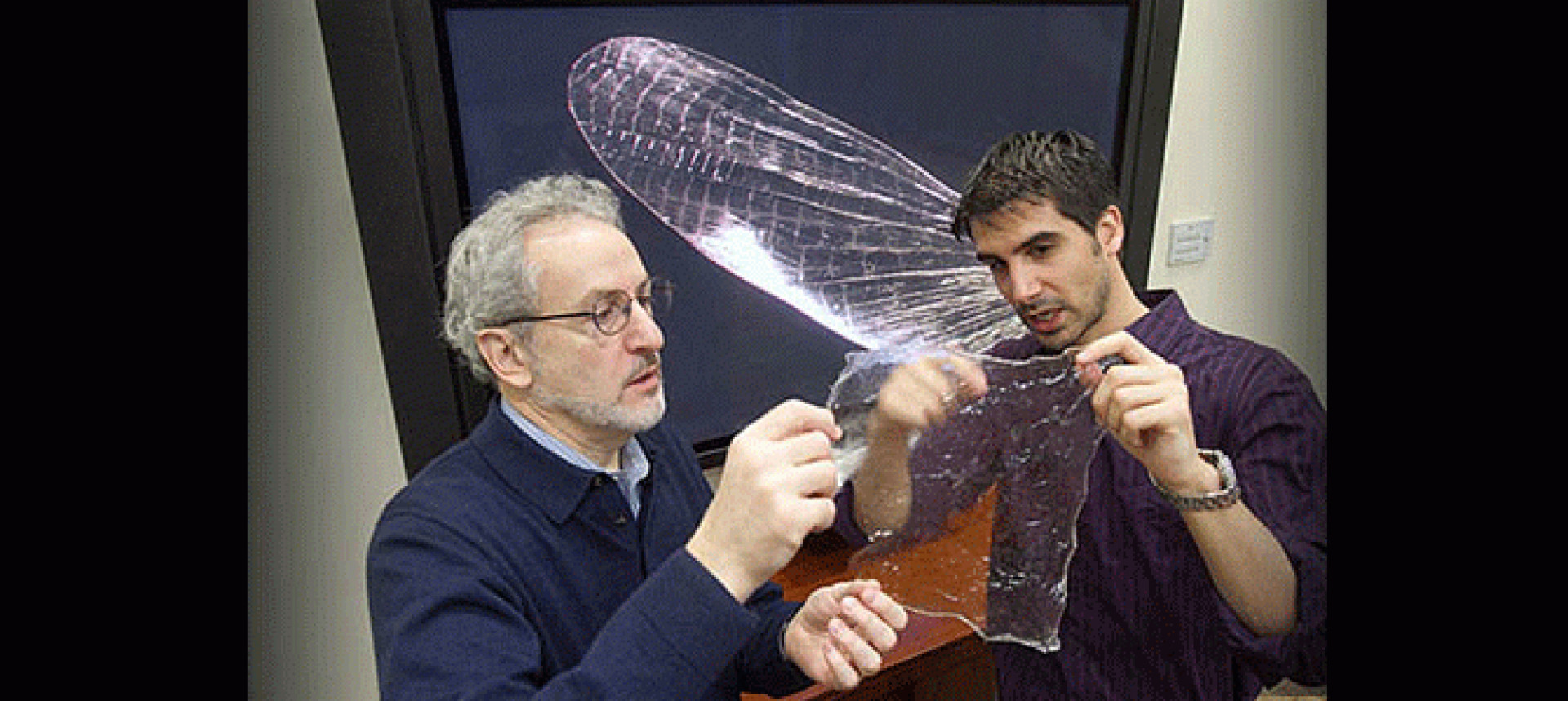 Endpoint 15 innovations - shirlk